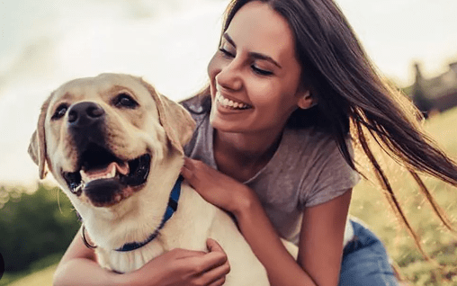 Los Beneficios de tener una mascota: Compañía y&nbsp;bienestar