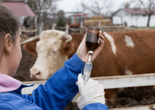 Buenas noticias para el campo: un reconocido laboratorio nacional anunció que mantendrá el precio de la vacuna antiaftosa 