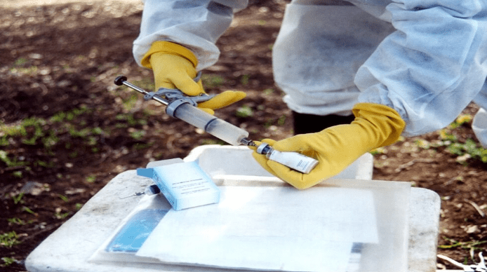 Vacuna antiaftosa: Los motivos detrás de su valor en el&nbsp;mercado