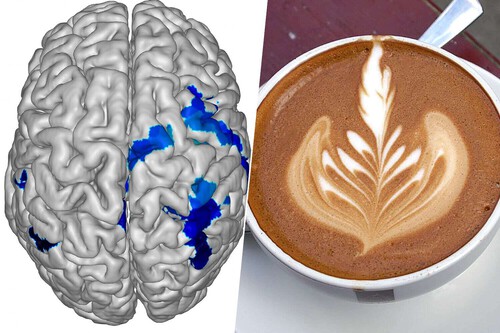 Un estudio revela los efectos del café en la&nbsp;memoria